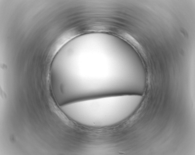 X0000091331378200708100954