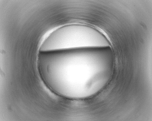 X0000091331379200708100954