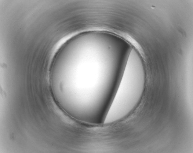 X0000091331380200708100954