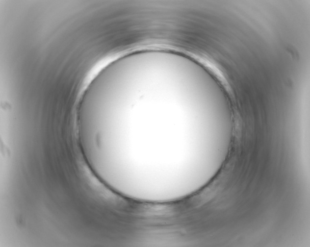 X0000091331382200708100954