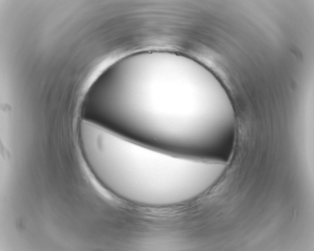X0000091331383200708100954