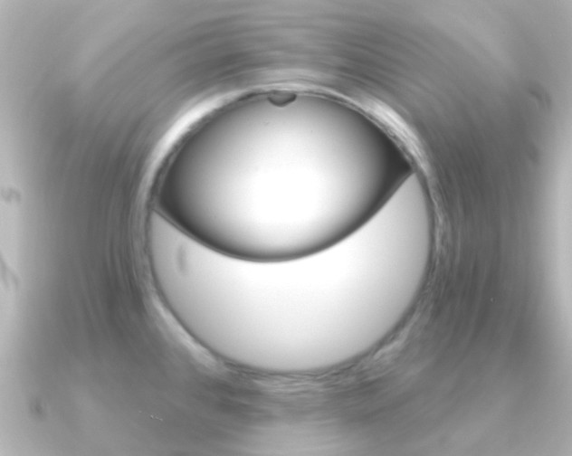 X0000091331384200708100954