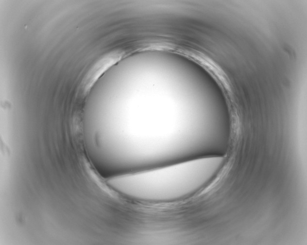 X0000091331385200708100954