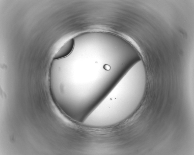 X0000091331387200708100954