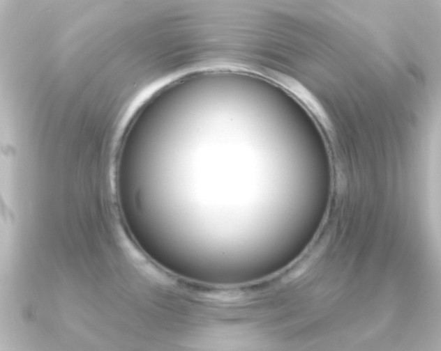 X0000091331388200708100954