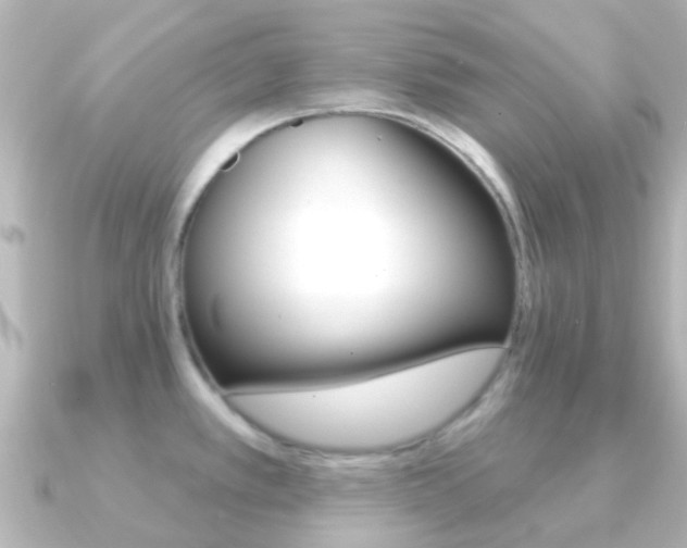 X0000091331389200708100954