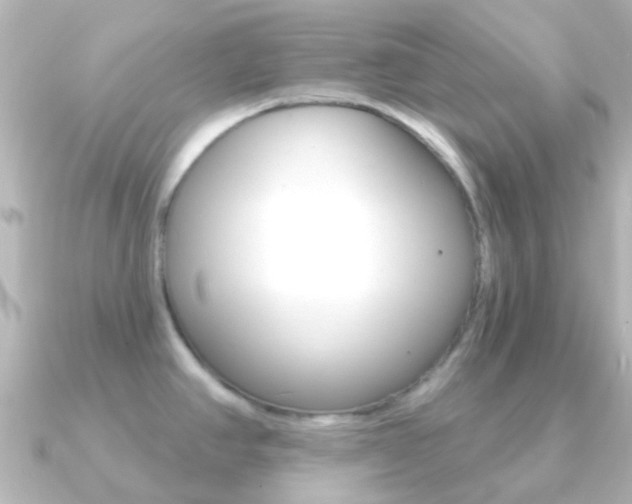 X0000091331390200708100954