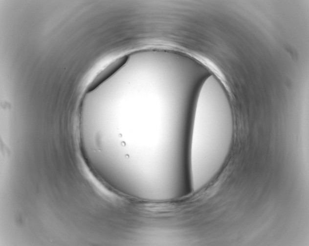 X0000091331391200708100954