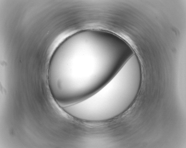 X0000091331392200708100954