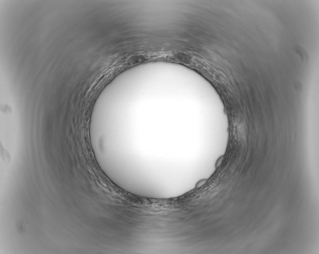 X0000091331393200708100953
