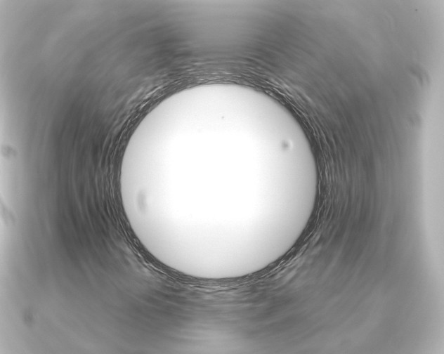 X0000091331394200708100953