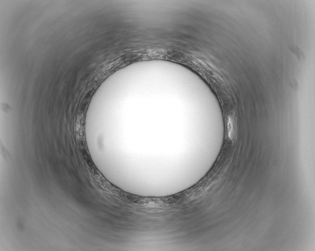 X0000091331395200708100953