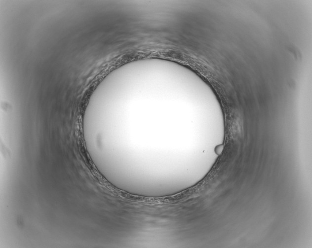X0000091331397200708100953
