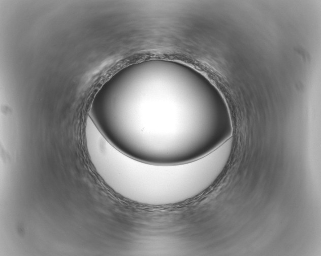 X0000091331398200708100953