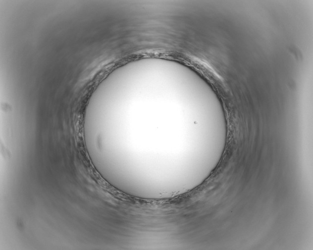 X0000091331399200708100953
