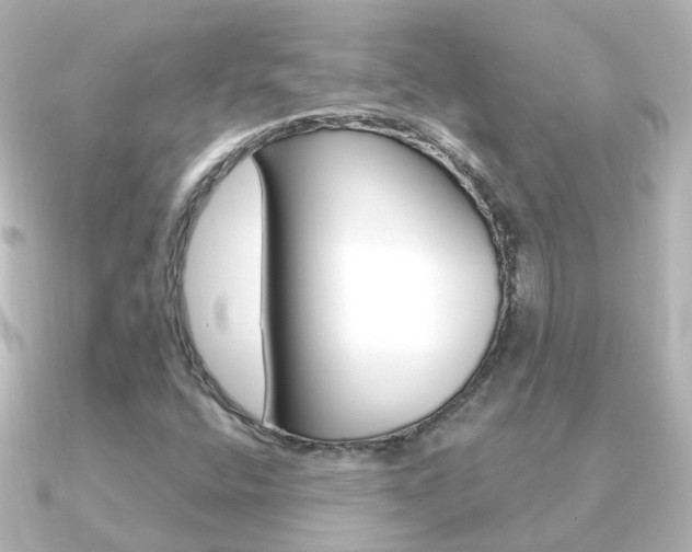 X0000091331400200708100953