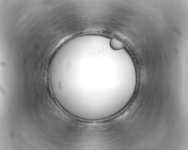 X0000091331401200708100953