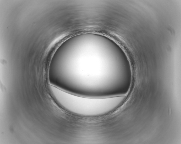 X0000091331402200708100953