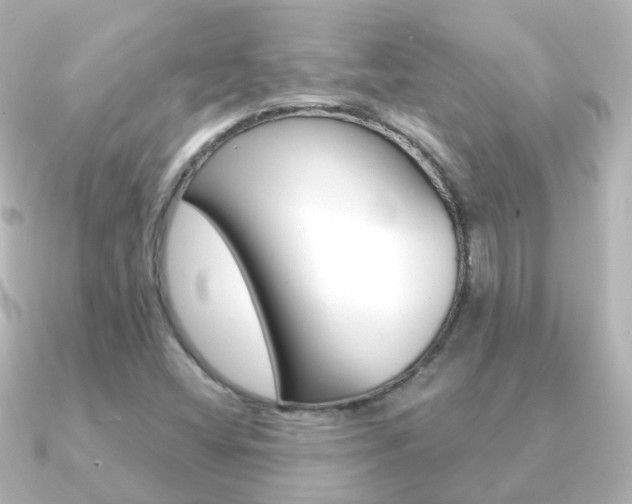 X0000091331404200708100953