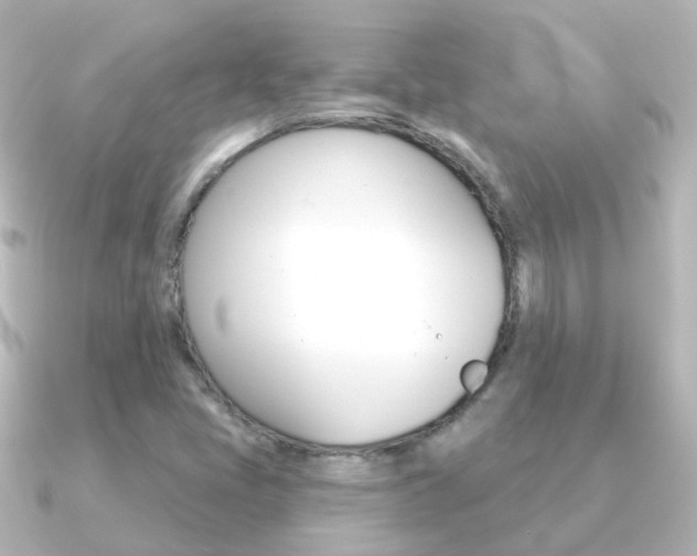 X0000091331405200708100953
