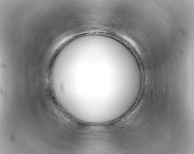 X0000091331407200708100953