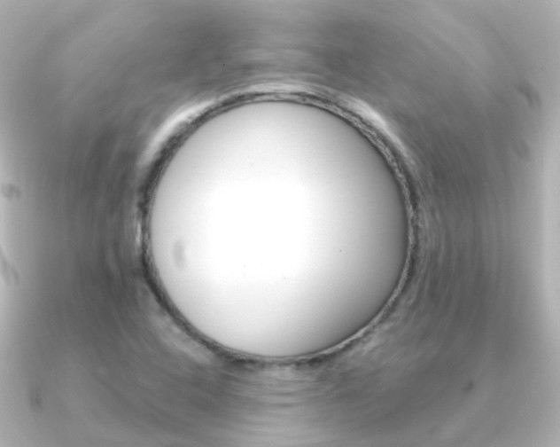 X0000091331408200708100953