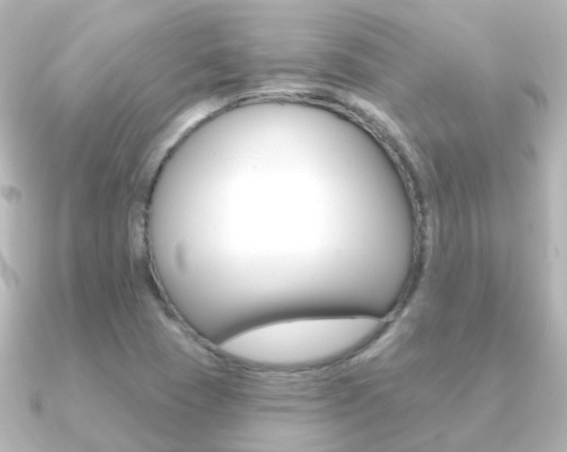 X0000091331409200708100953