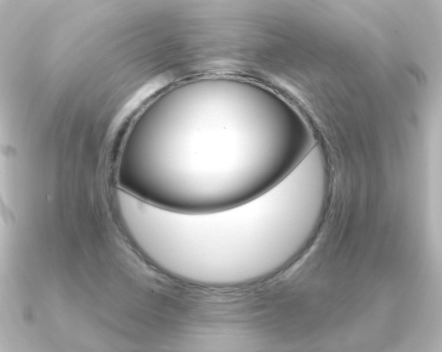 X0000091331410200708100953