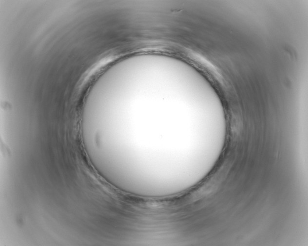 X0000091331411200708100953