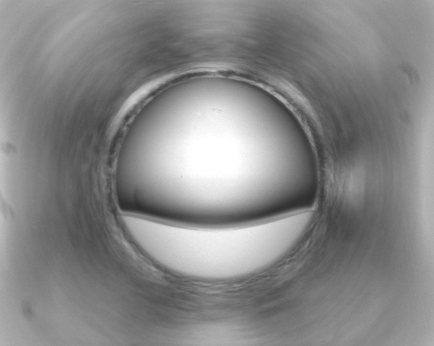 X0000091331412200708100953