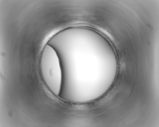 X0000091331413200708100953