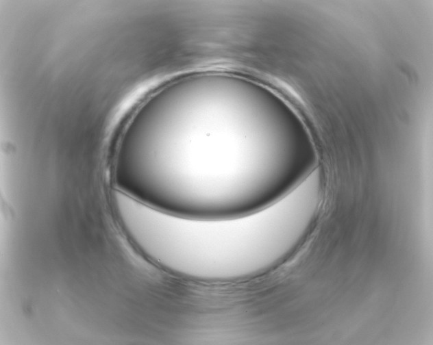 X0000091331414200708100953