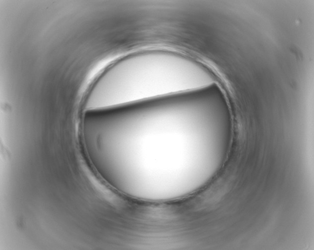 X0000091331416200708100953