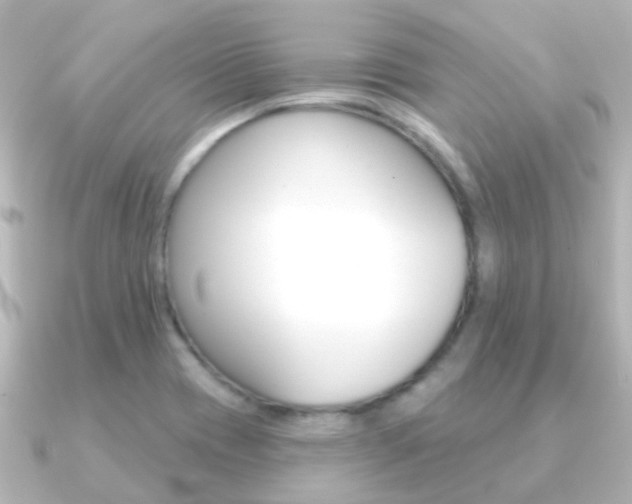 X0000091331417200708100953