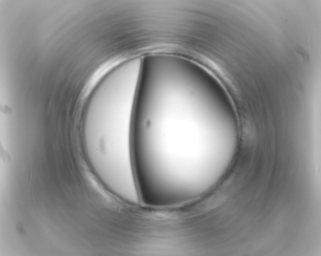 X0000091331418200708100953