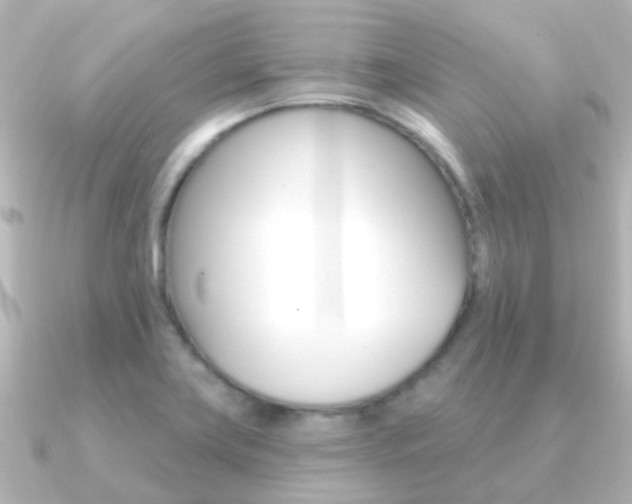 X0000091331419200708100953