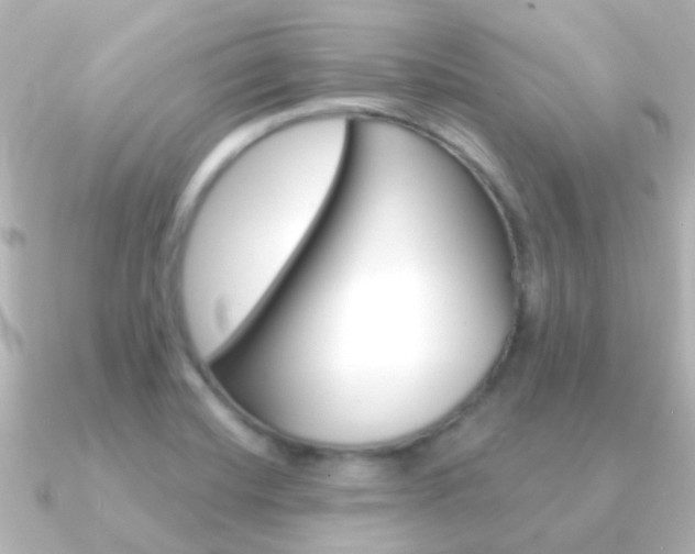 X0000091331420200708100953