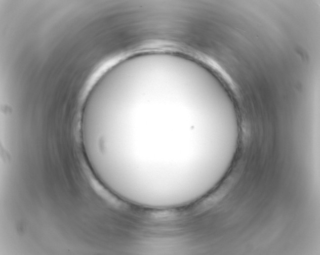 X0000091331421200708100953