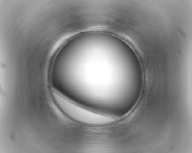 X0000091331422200708100954