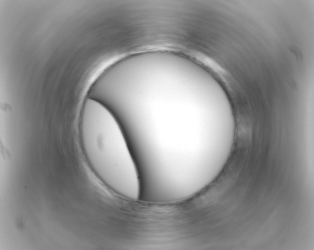 X0000091331423200708100954