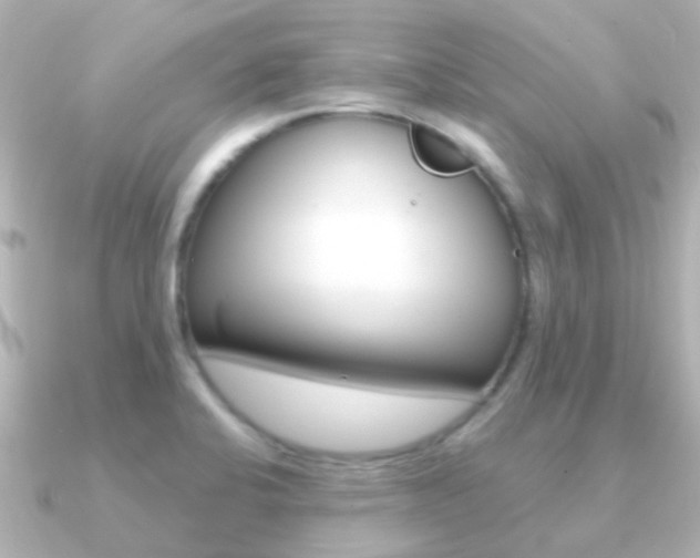 X0000091331424200708100954
