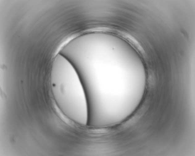 X0000091331425200708100954