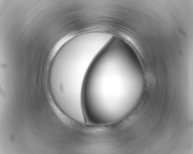 X0000091331426200708100954