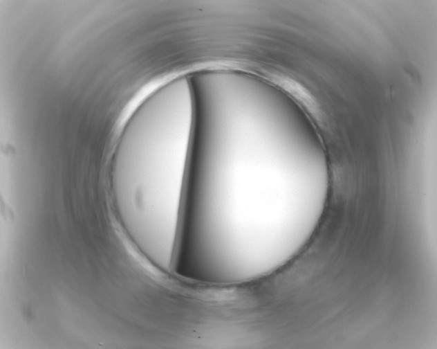 X0000091331428200708100954