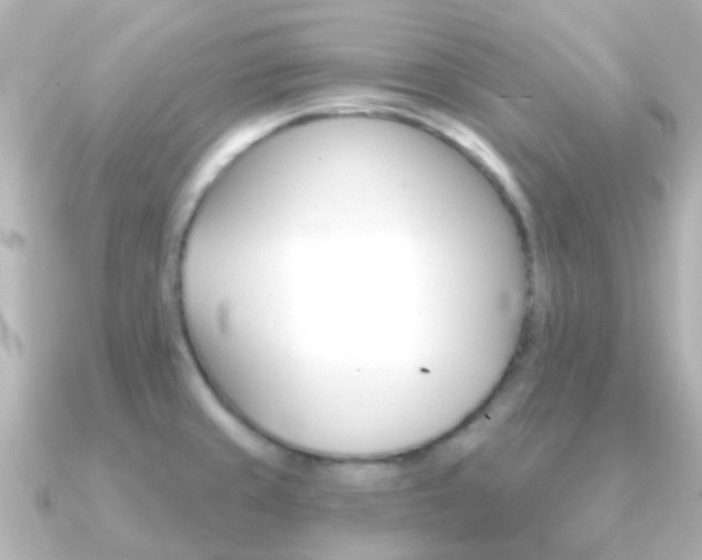 X0000091331429200708100954