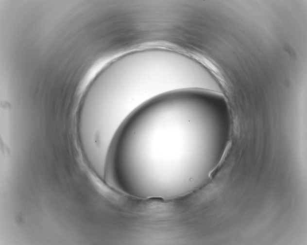 X0000091331430200708100954