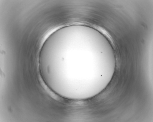 X0000091331431200708100954