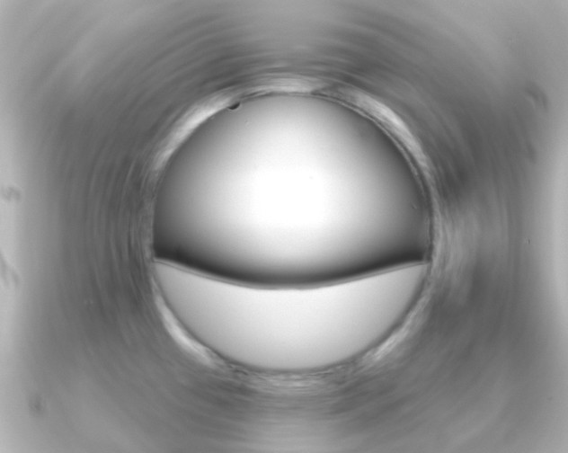 X0000091331433200708100954