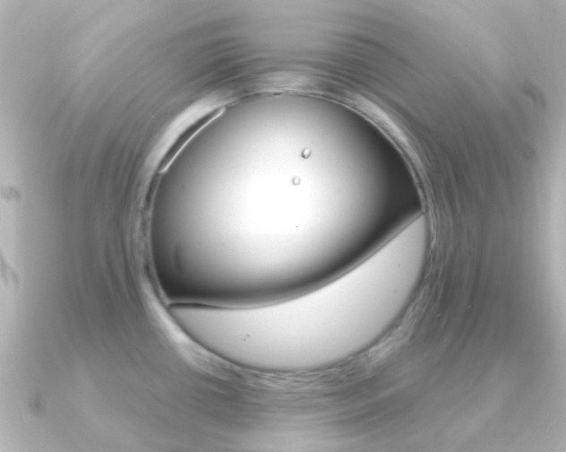 X0000091331434200708100954
