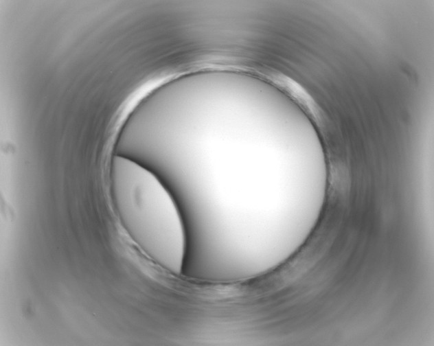 X0000091331435200708100954